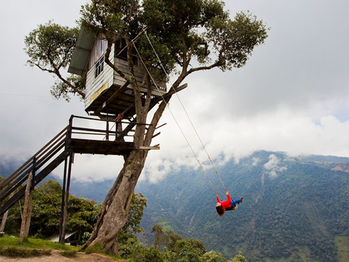 Lugar La Casa del Arbol