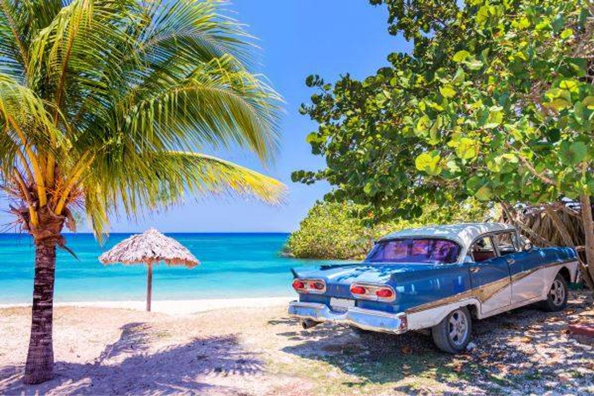 Lugar Playas