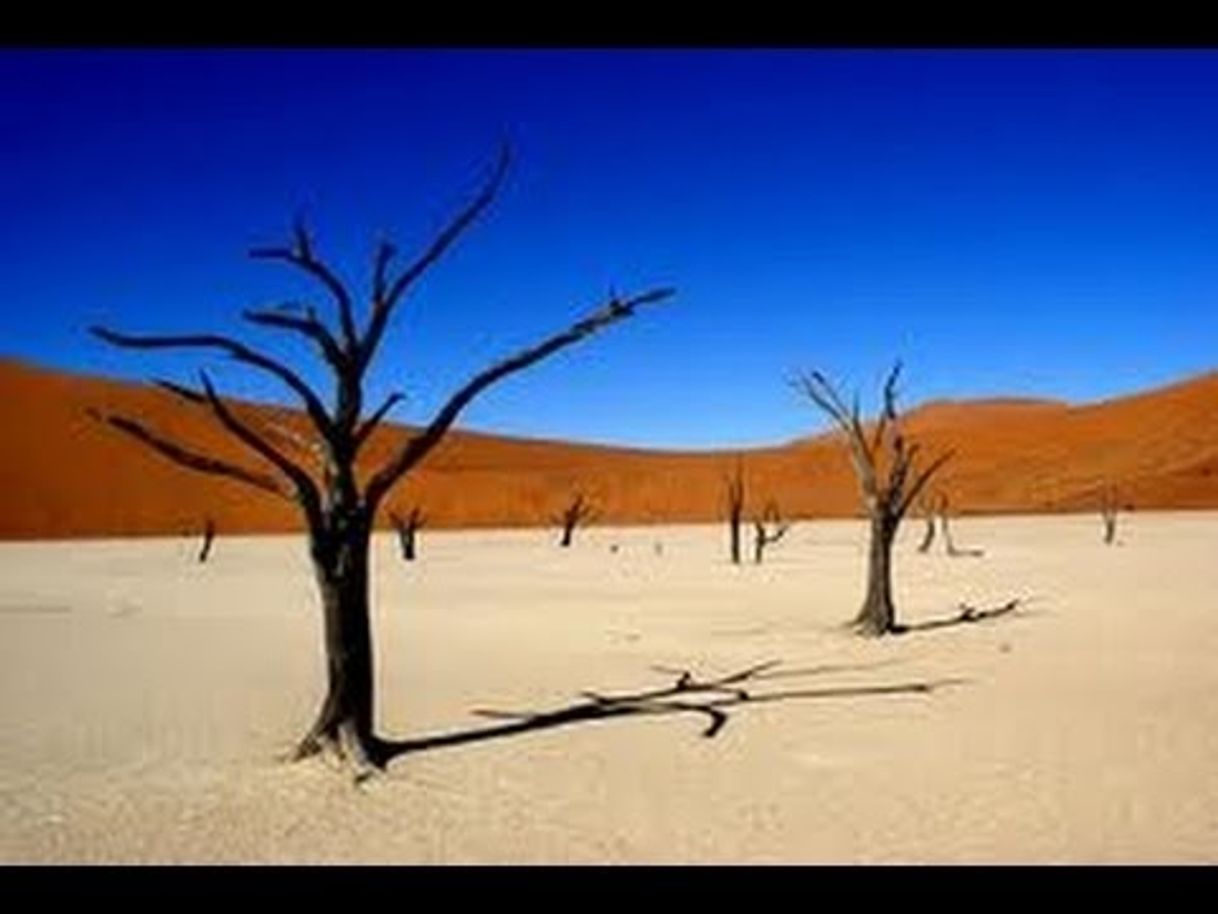 Place Dead Vlei