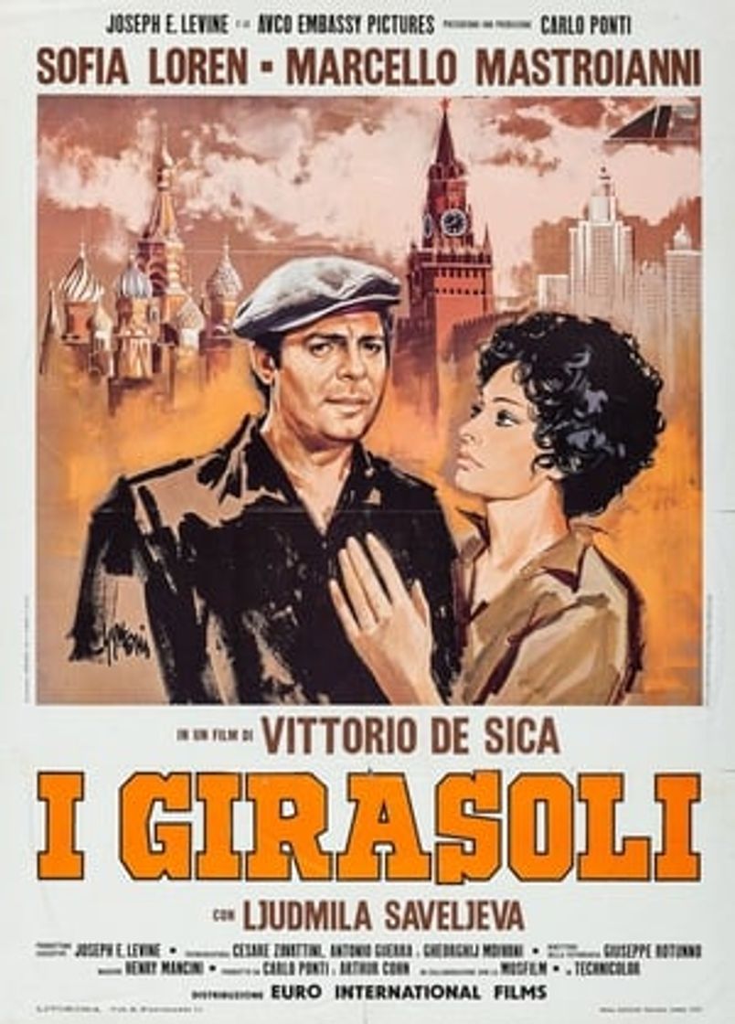 Película Los girasoles