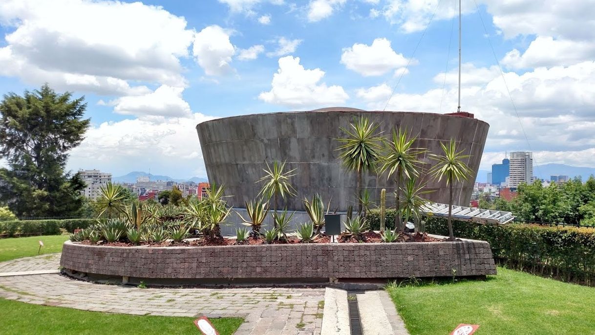 Fashion Museo del caracol