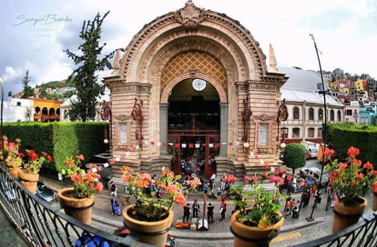 Place Mercado Hidalgo