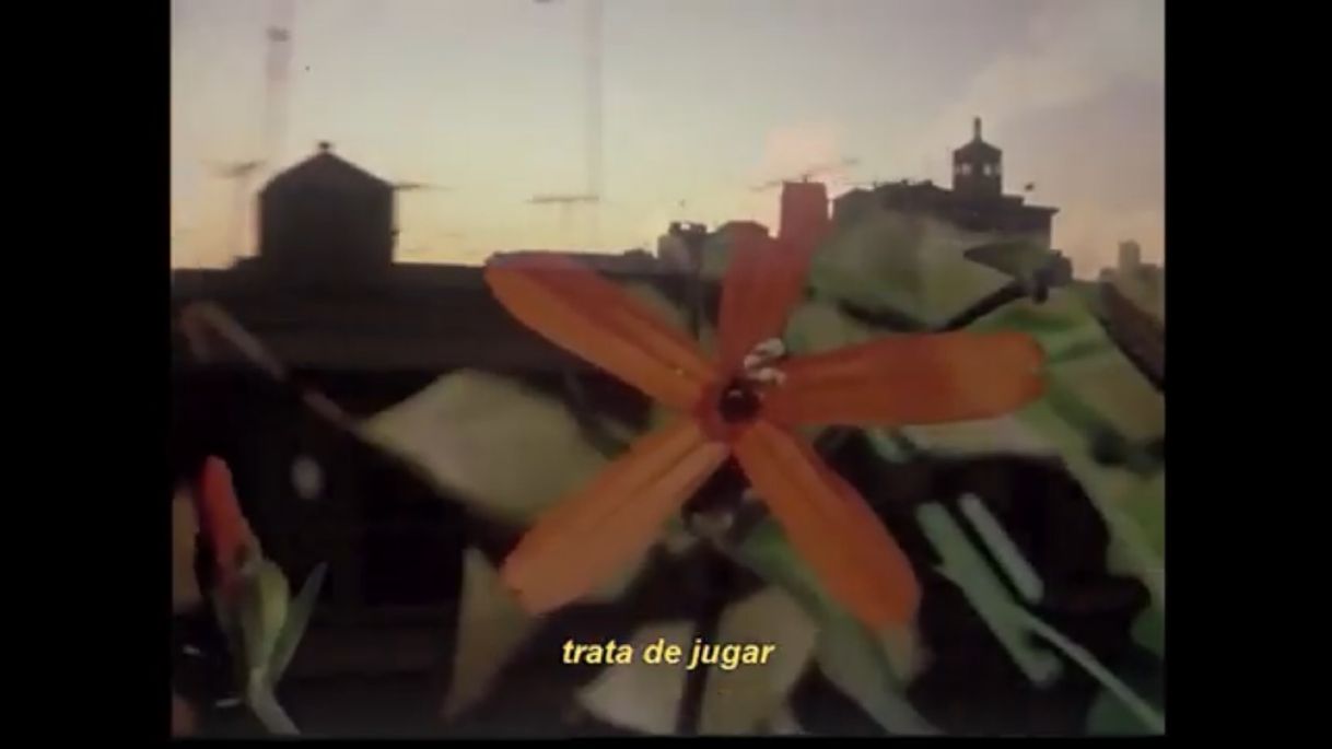 Social No Brillas - Mag Pershing (videolyric)