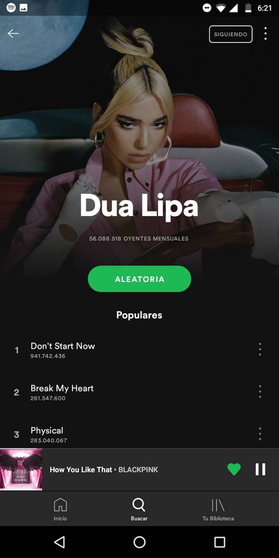 Moda Dua Lipa