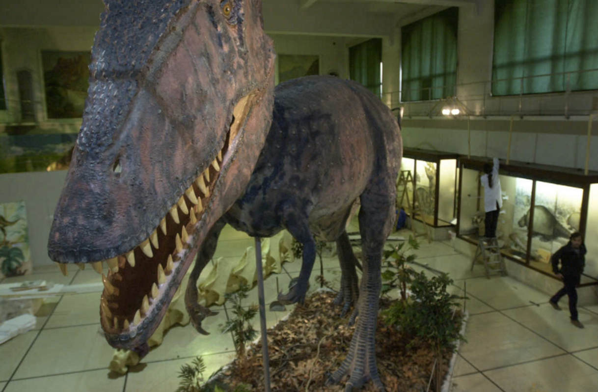 Place Museo de Ciencias Naturales Bernardino Rivadavia