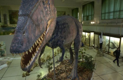 Museo de Ciencias Naturales Bernardino Rivadavia