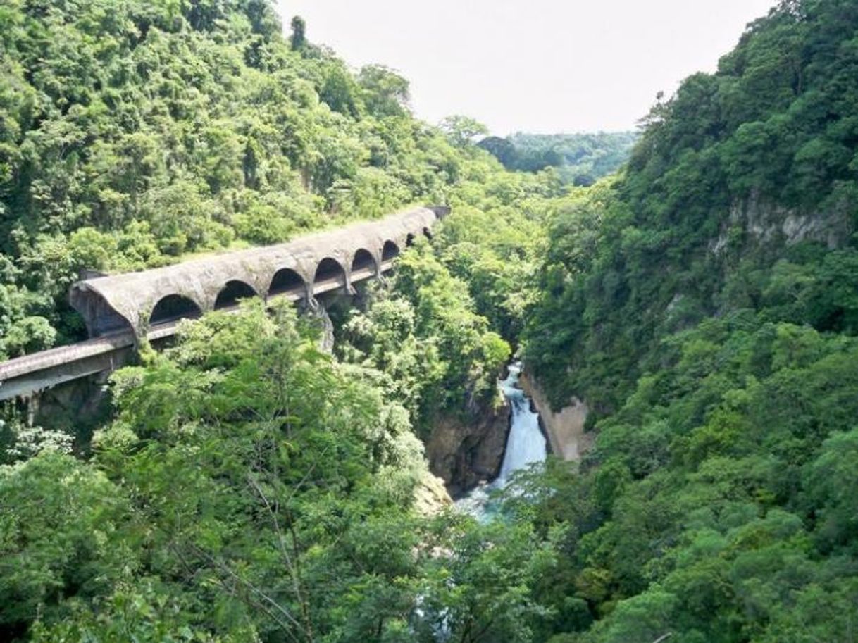 Lugar Paseo de Atoyac