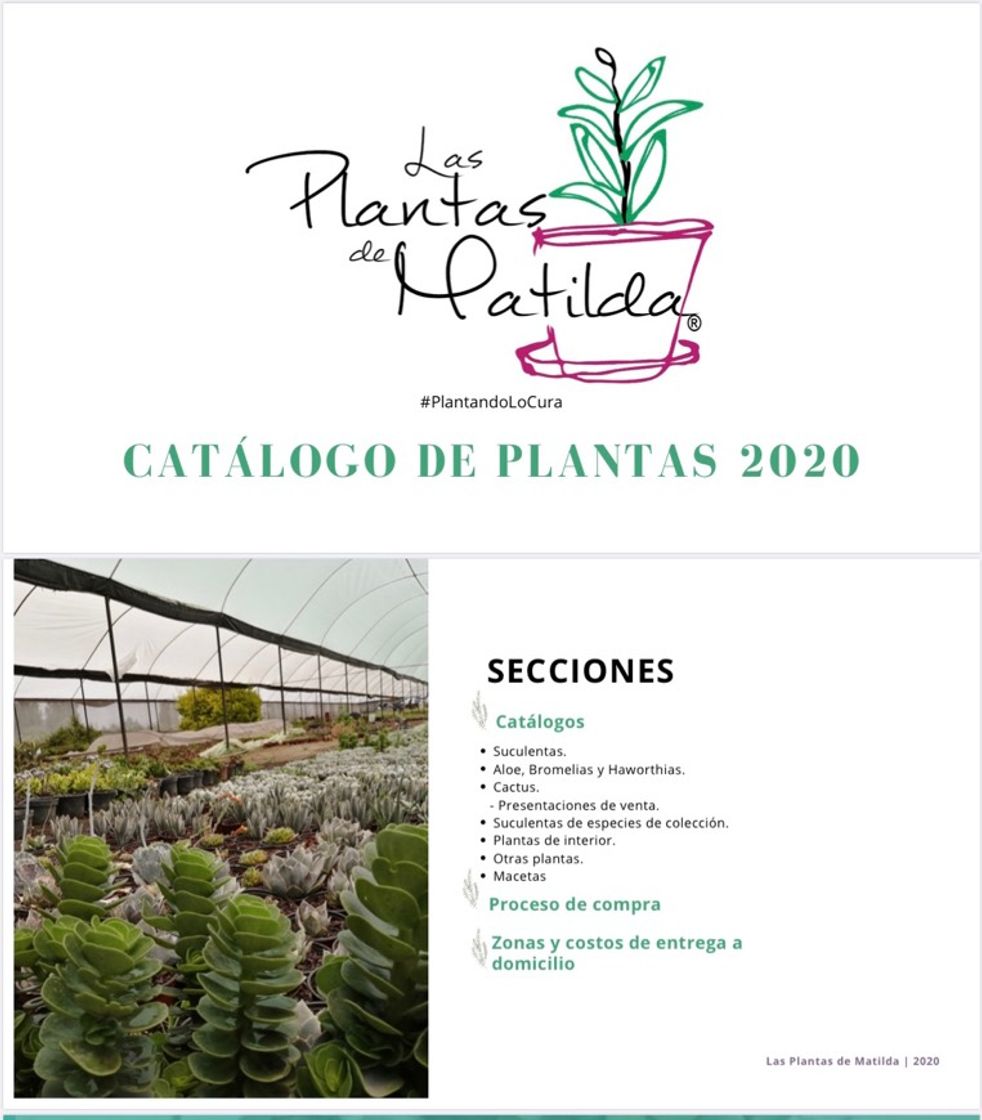 Moda Las Plantas de Matilda - Home | Facebook