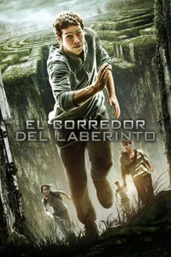 The Maze Runner