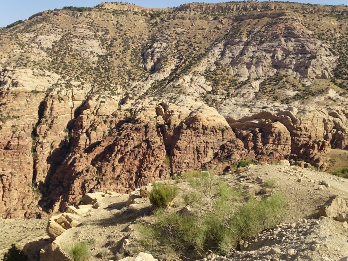 Lugar Dana Biosphere Reserve