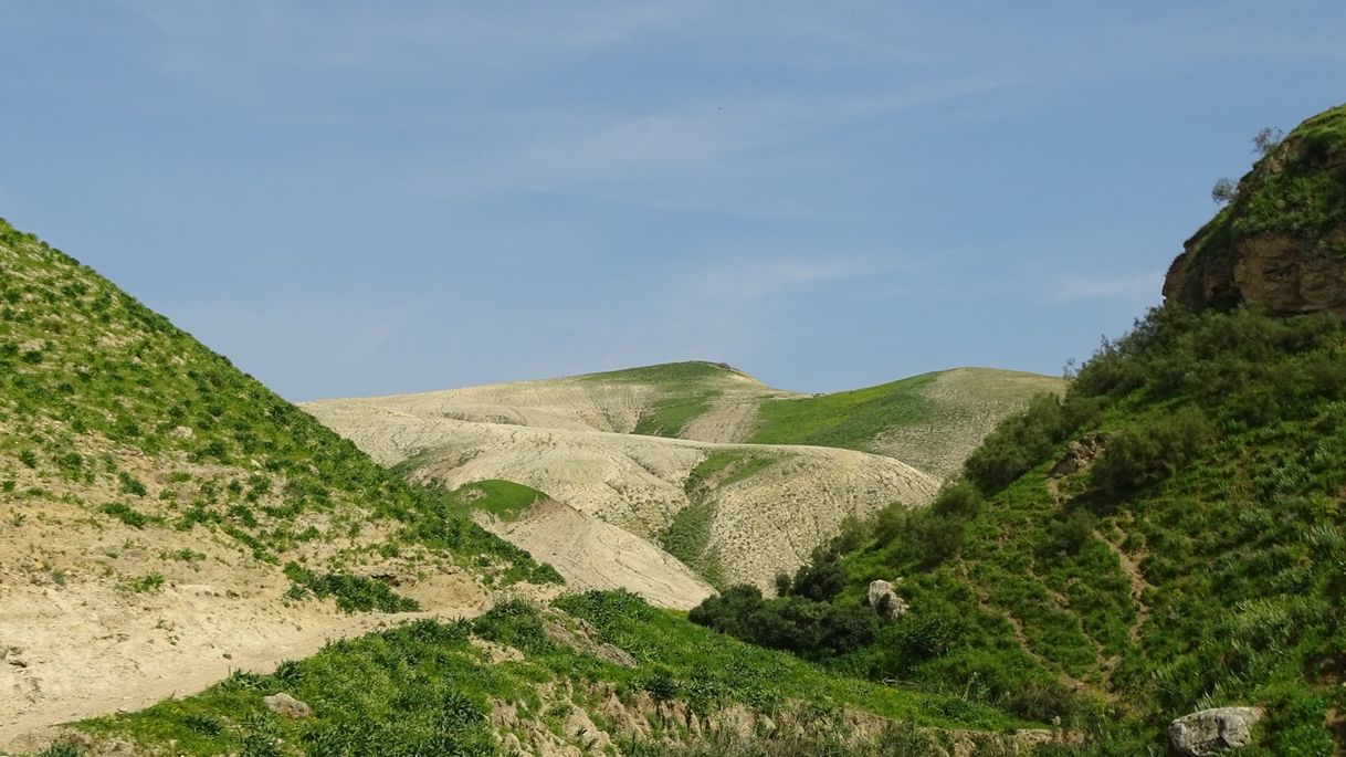 Lugar Sharhabil Bin Hassneh EcoPark (SHE Park)