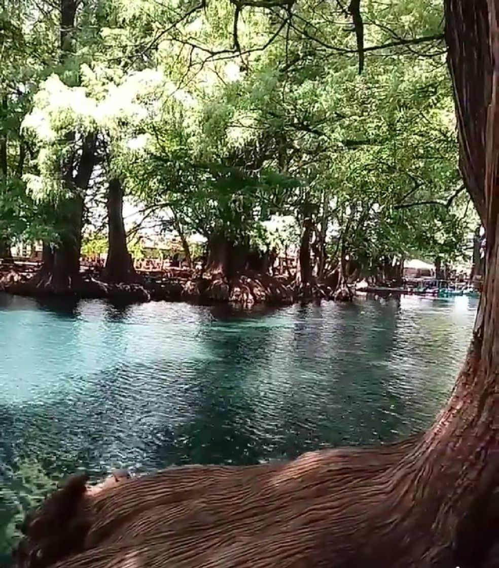 Lugar Lago de Camécuaro