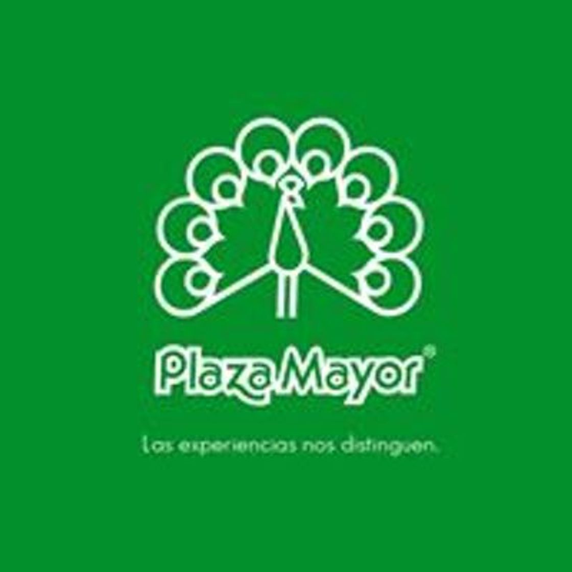 Fashion Plaza Mayor – Las Experiencias nos Distinguen