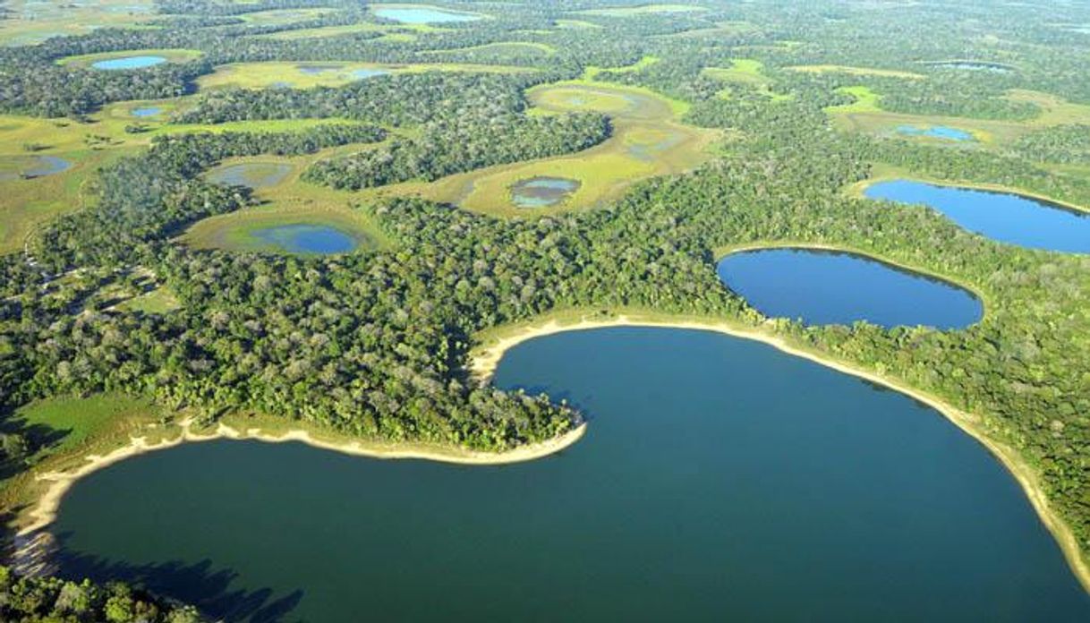 Lugar Parque Nacional do Pantanal Mato-Grossense