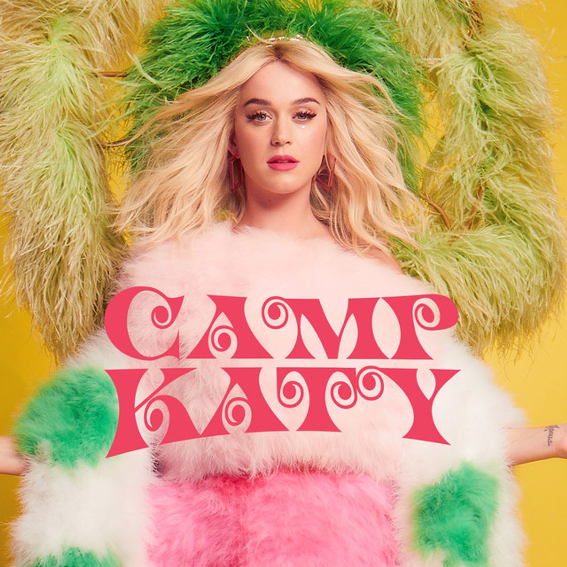 Canción Swish Swish
