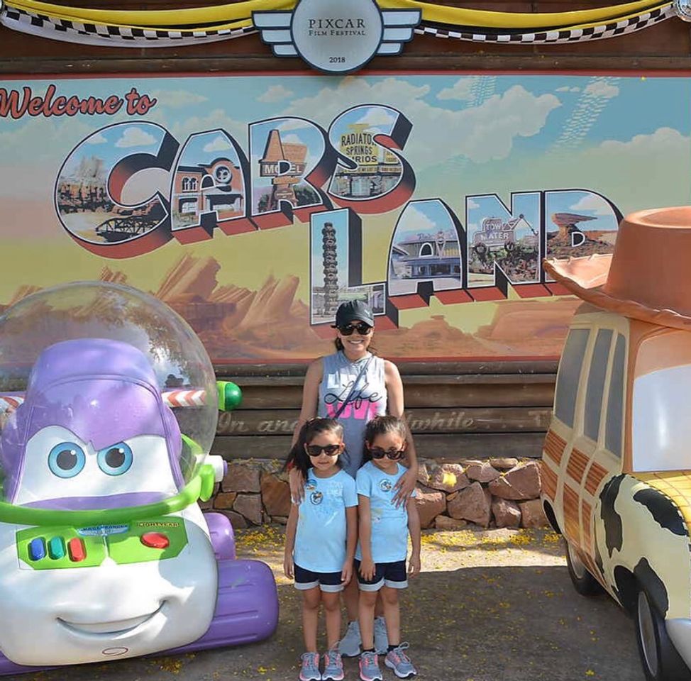 Place Disneyland Drive