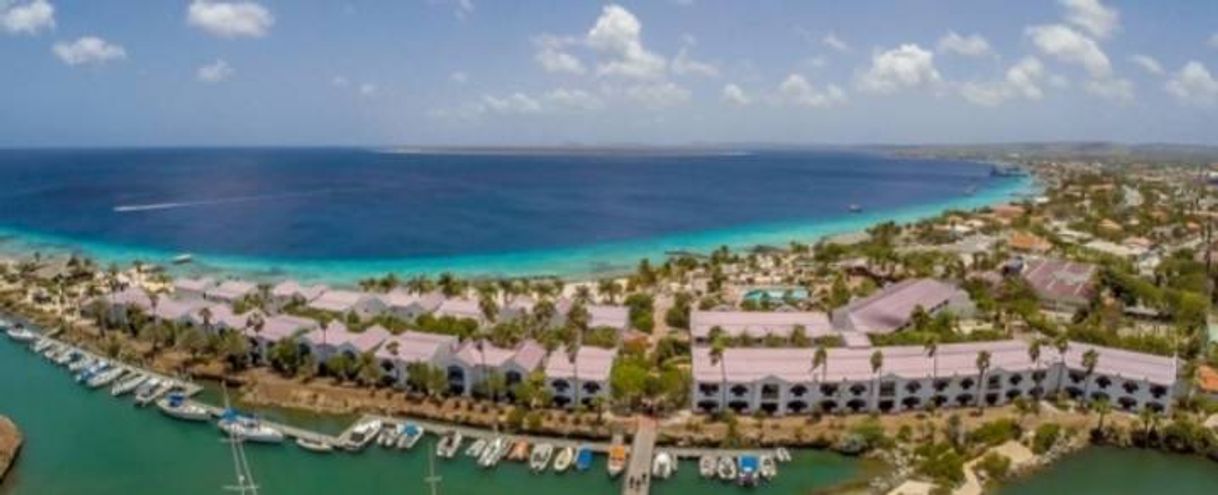 Lugar Plaza Resort Bonaire