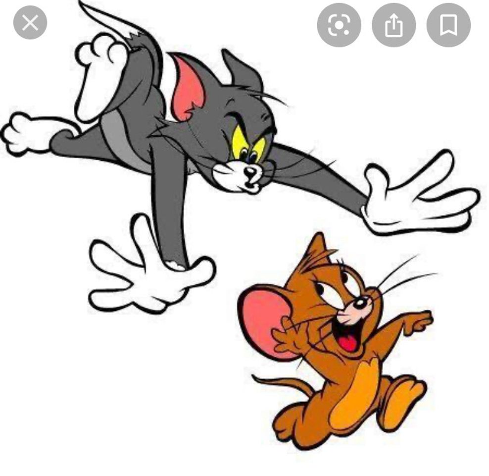 Moda Tom & Jerry 