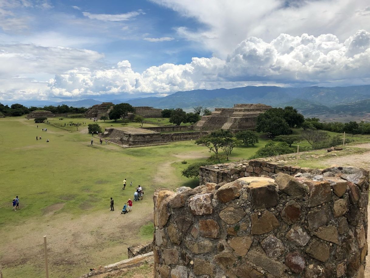 Place Monte Albán