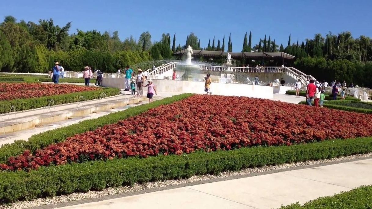 Lugar Jardines de México