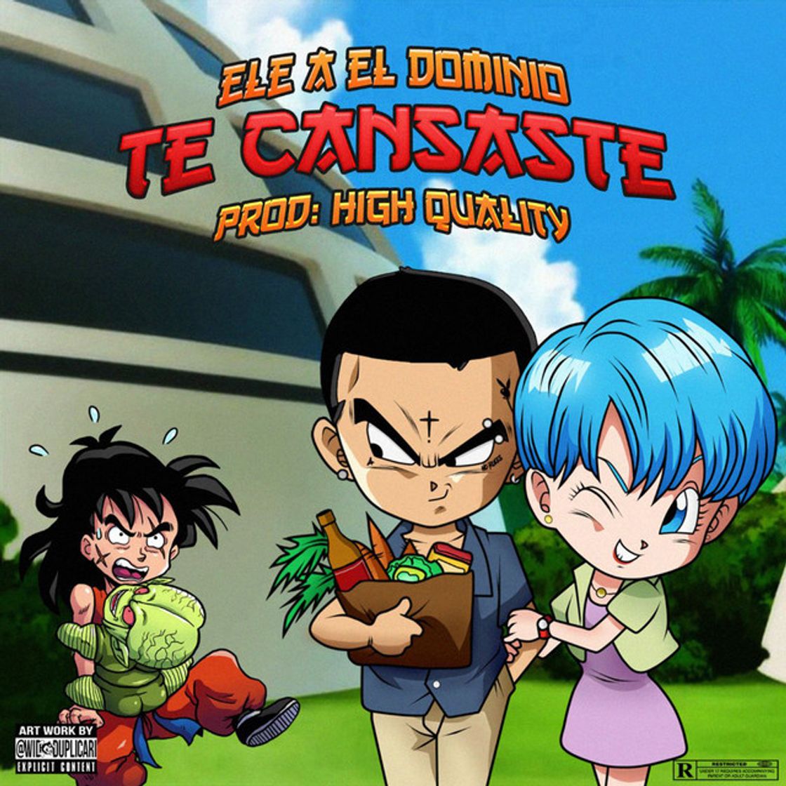 Canción Te Cansaste