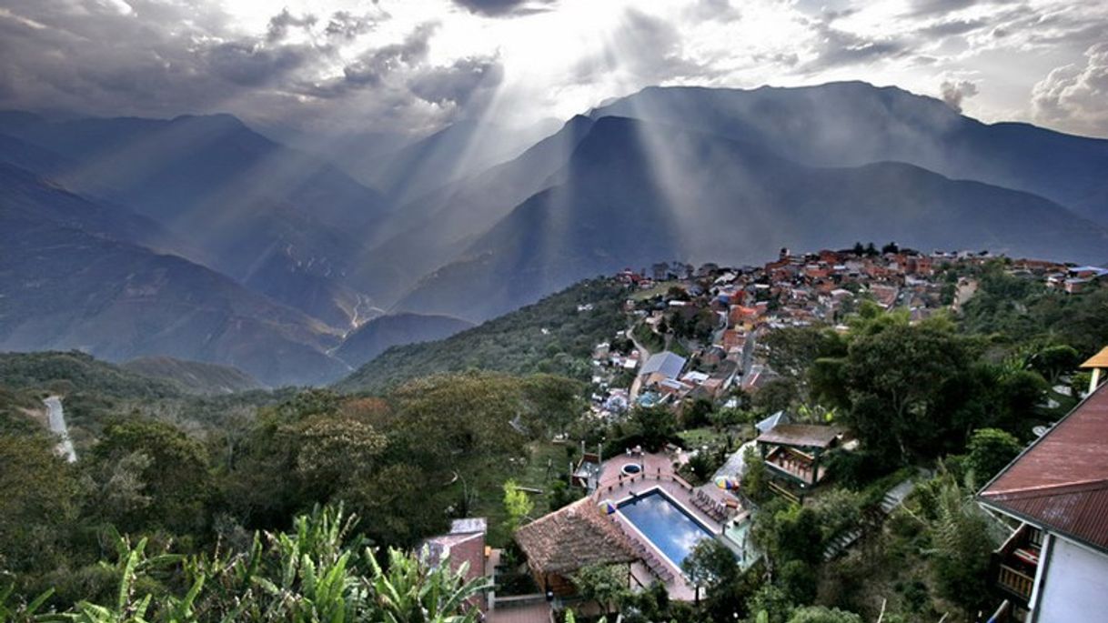 Lugar Yungas