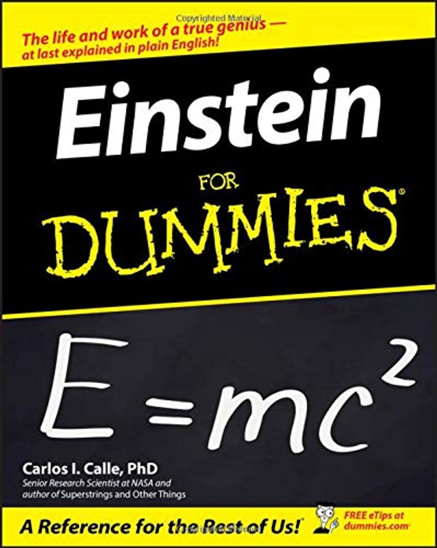 Books Einstein For Dummies