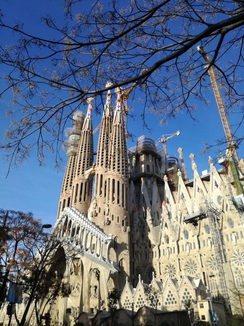 Place Basílica Sagrada Familia