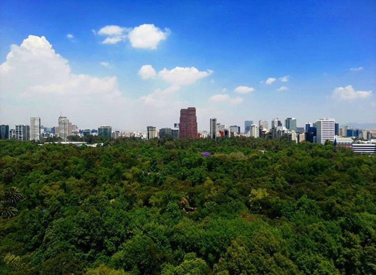 Place Bosque de Chapultepec