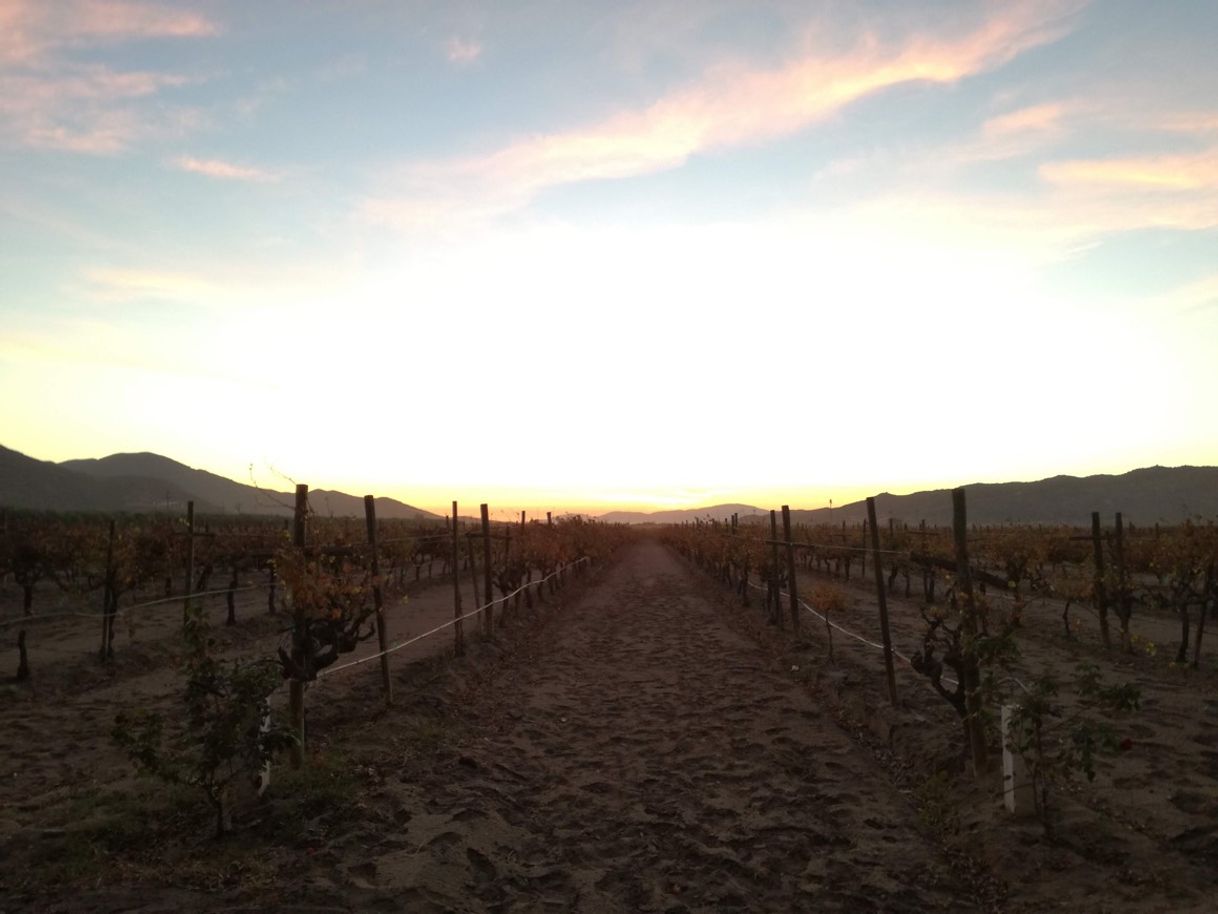 Place Valle de Guadalupe