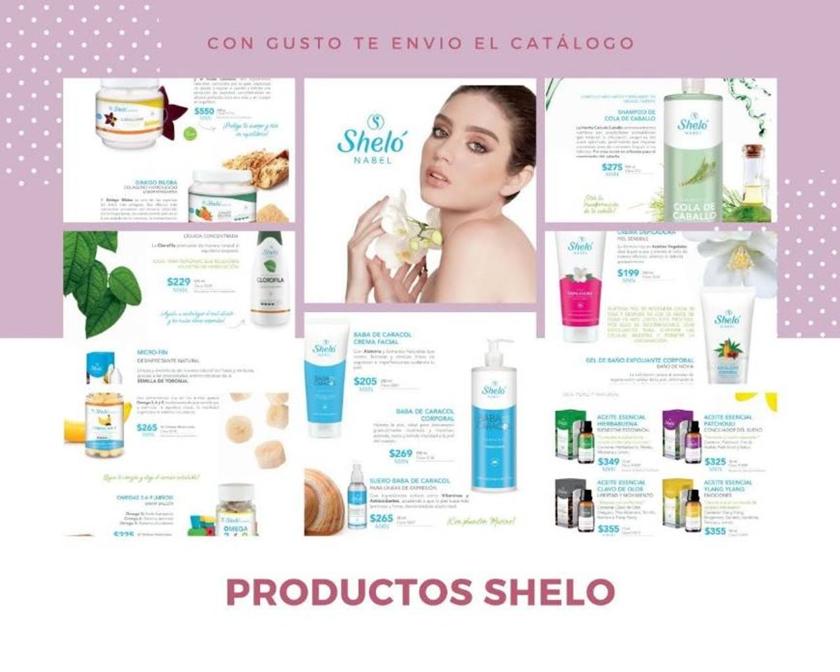 Productos Productos shelo