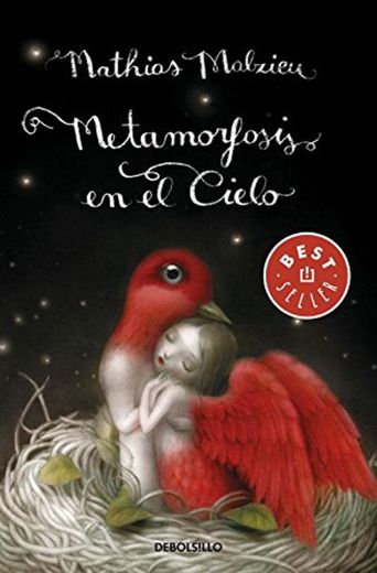 Metamorfosis en el cielo