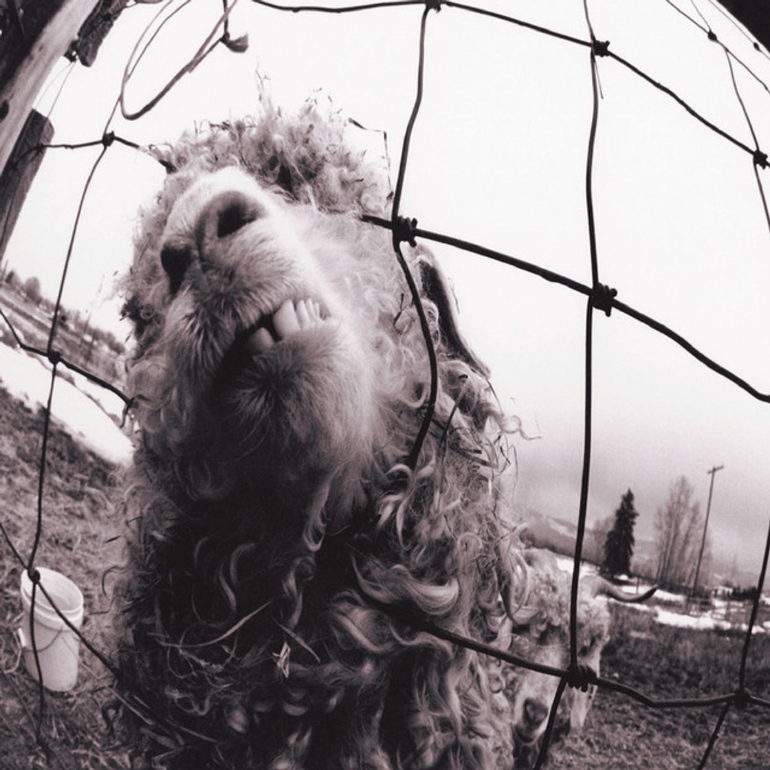 Music Rearviewmirror (Remastered)