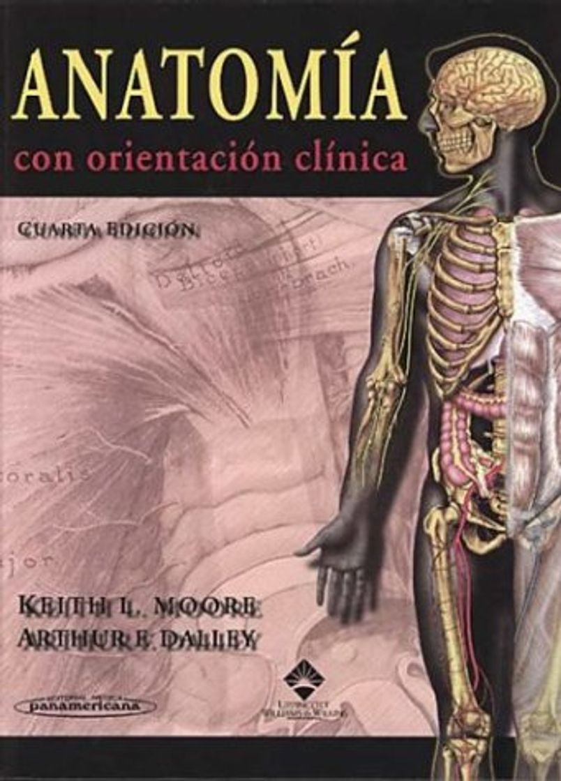 Libros Anatomía con orientación clínica