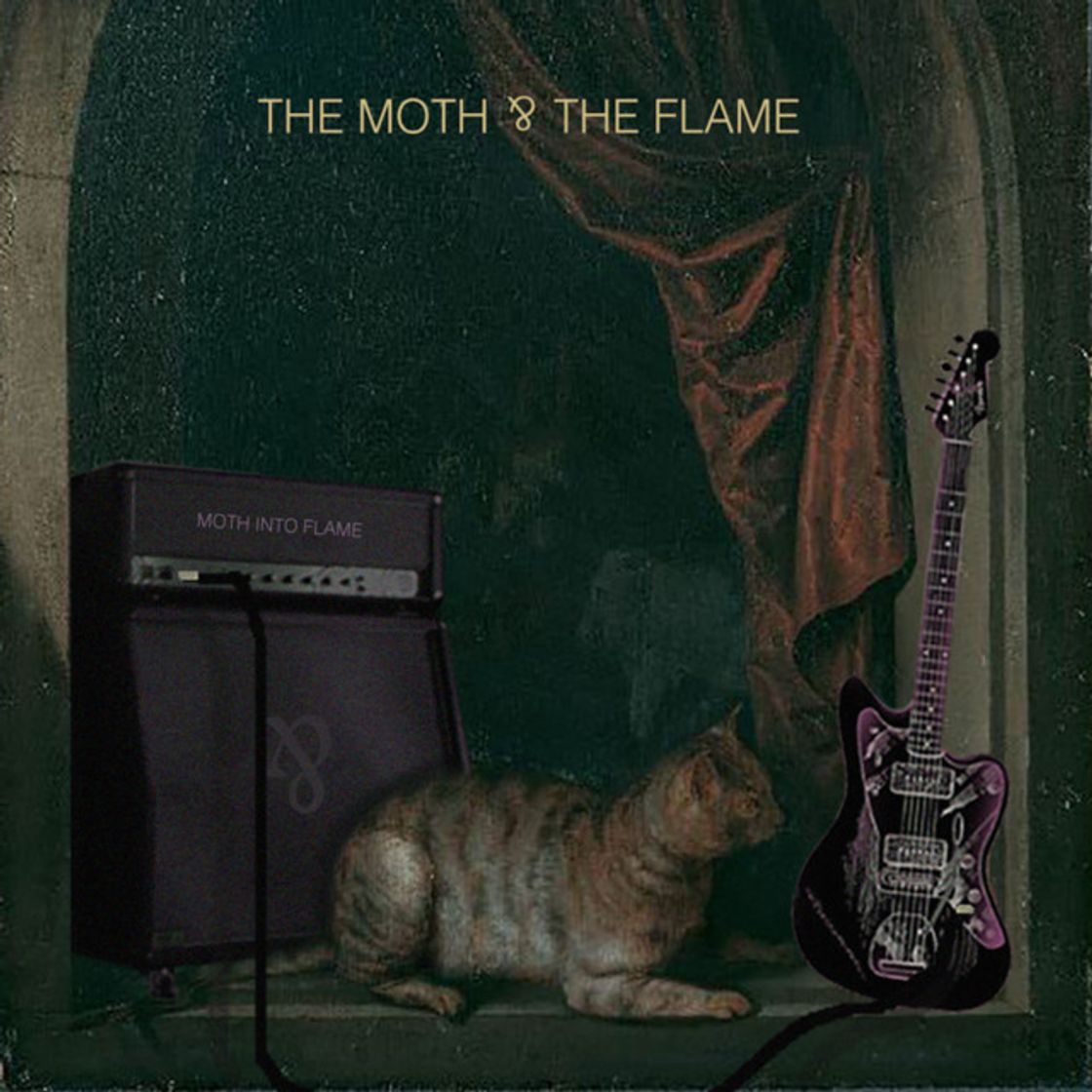 Music Moth Into Flame