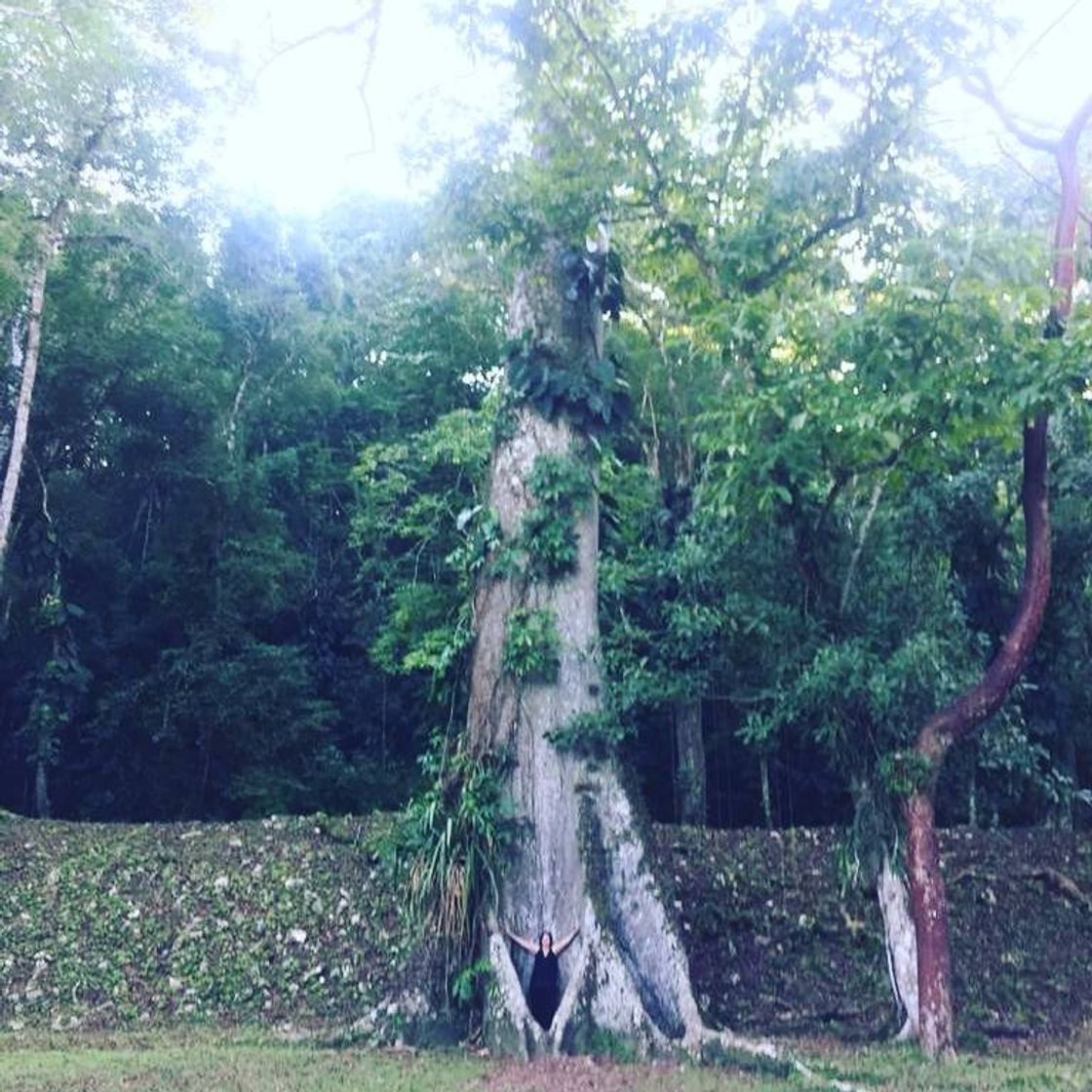 Place Yaxchilán