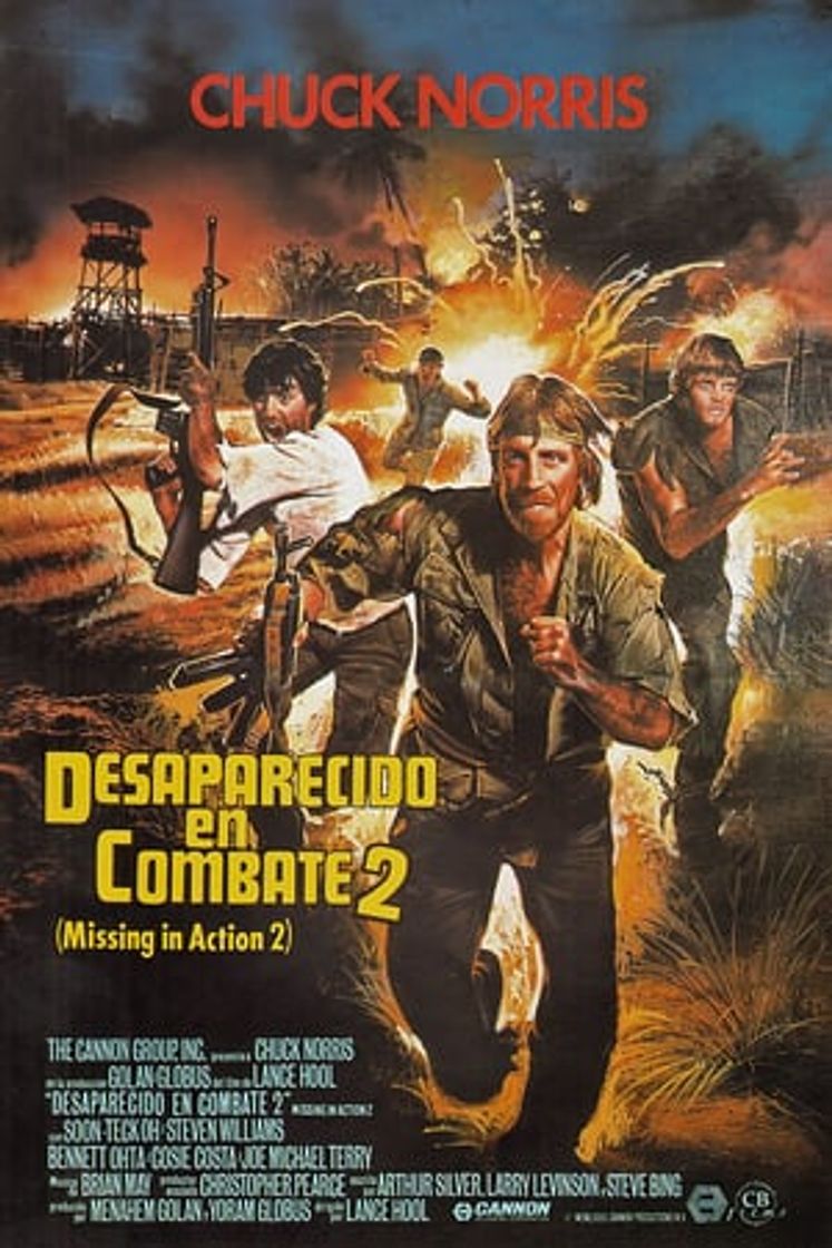 Movie Desaparecido en combate 2