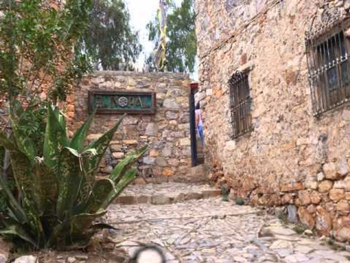 Restaurantes El Nopal Cosmico