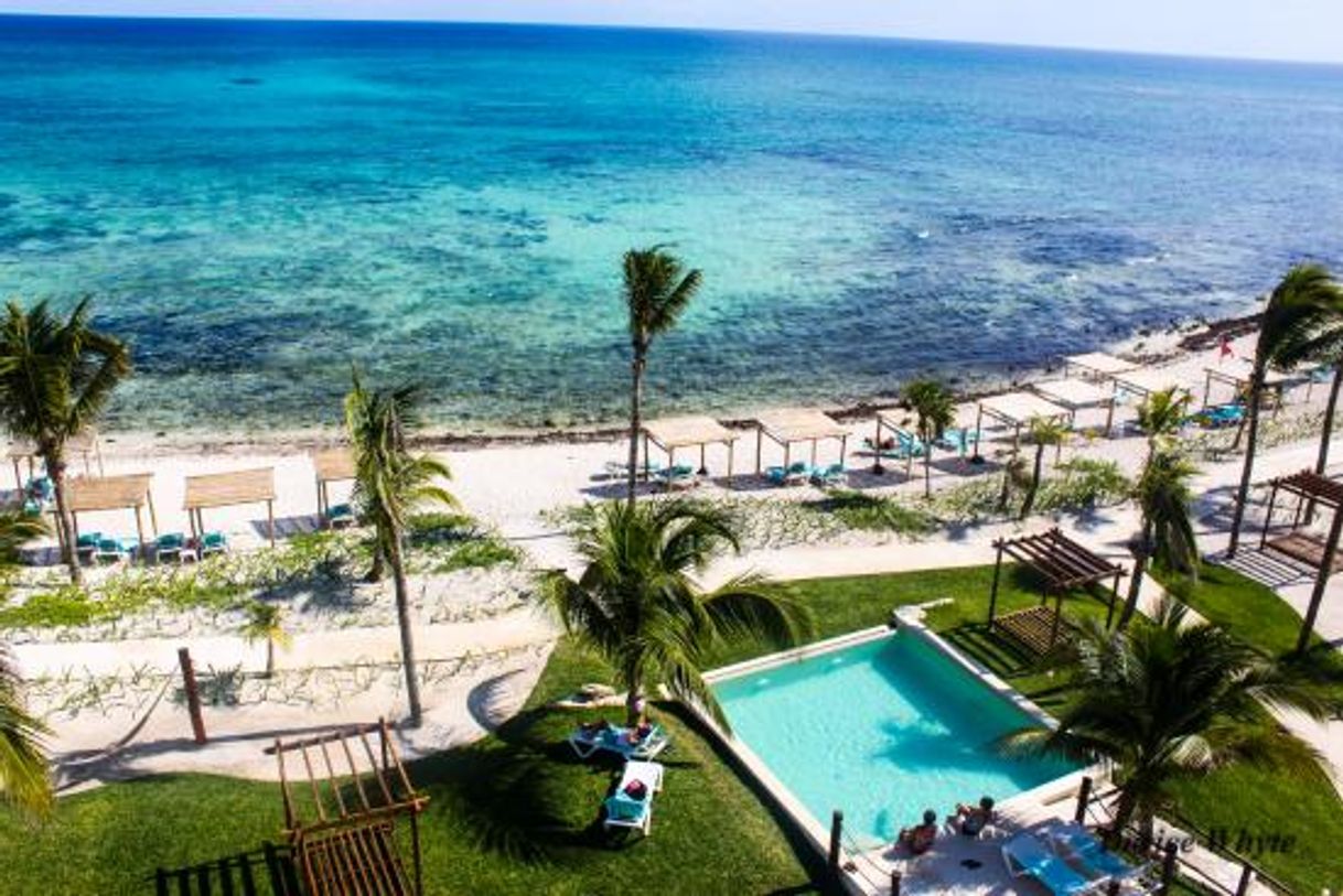 Lugar Akumal Bay - Beach & Wellness Resort