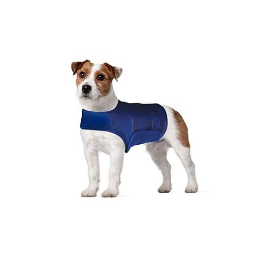 Hothuimin Thunder Camisa para Perro