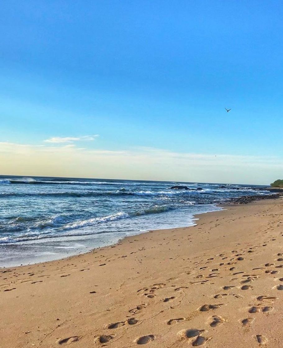 Lugar Playa Langosta