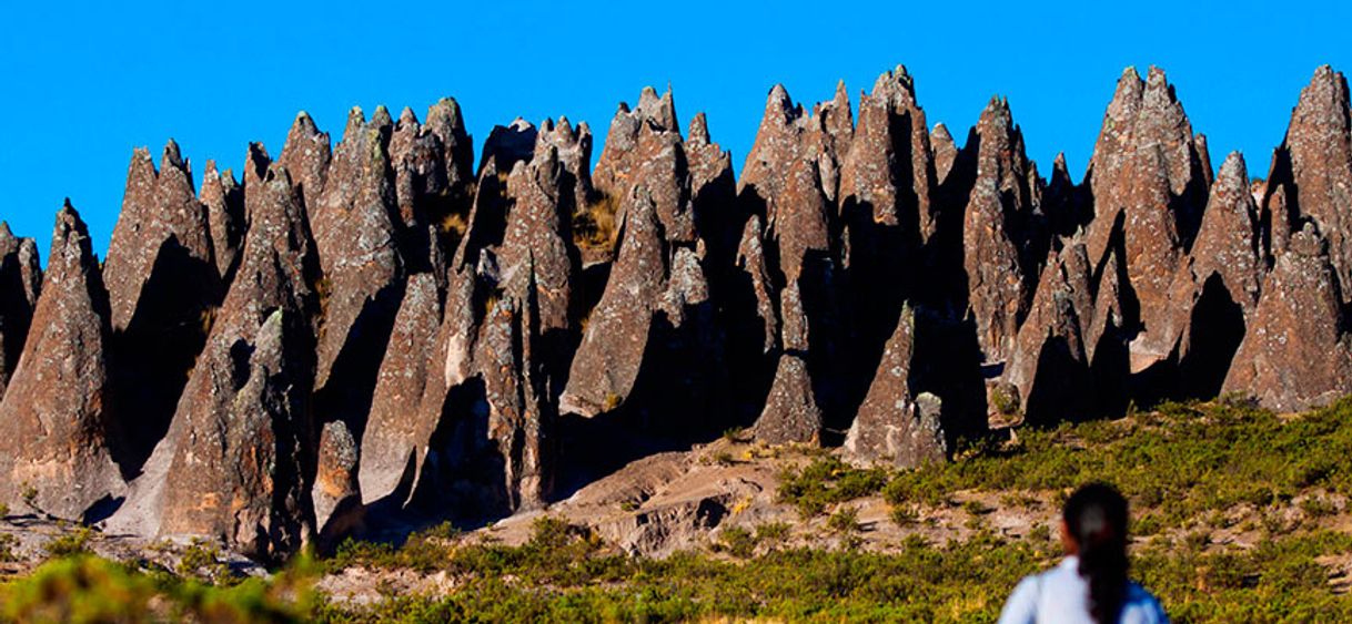 Place Bosque de Piedras de Pampachiri