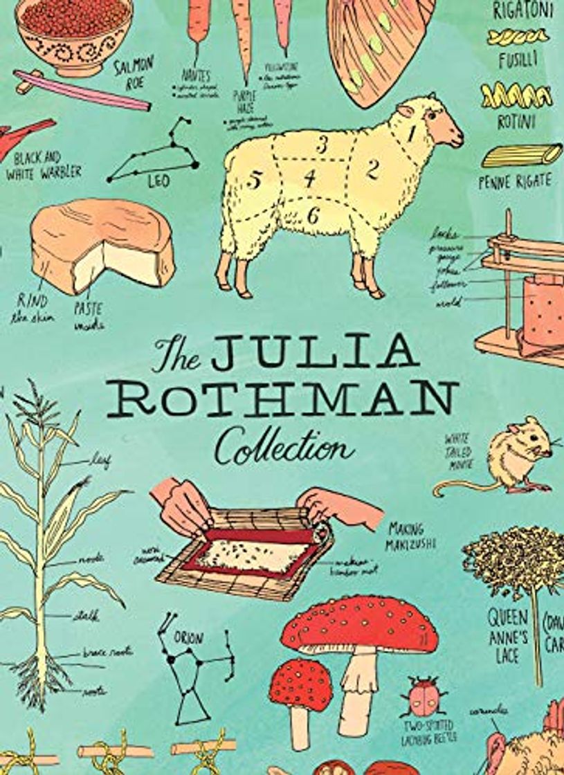 Book The Julia Rothman Collection: Farm Anatomy, Nature Anatomy, and Food Anatomy