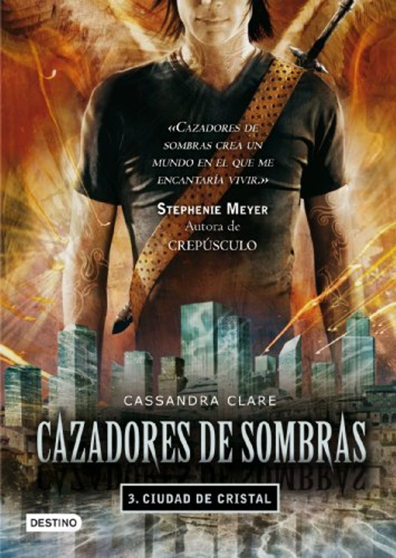 Book Cazadores de sombras 3