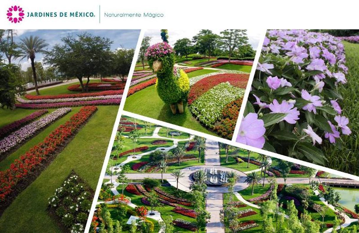Place Jardines de México