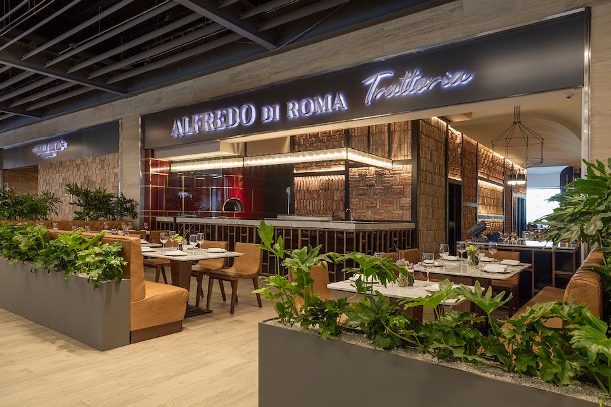 Restaurantes Alfredo Di Roma Trattoria | Polanco