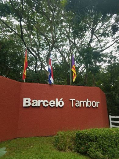 Barceló Tambor