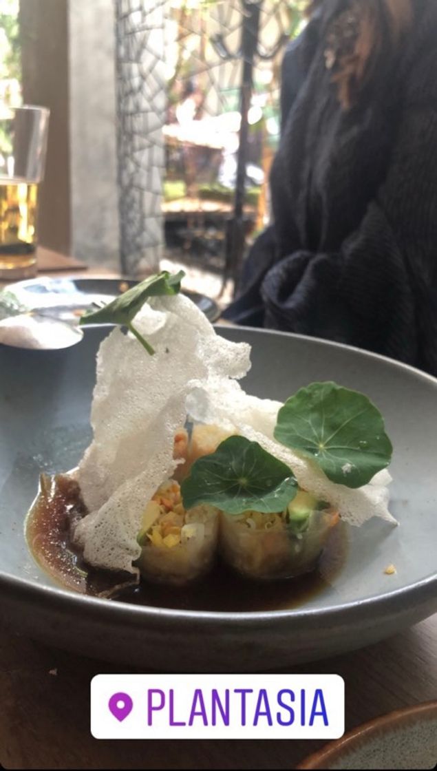 Restaurants Plantasia