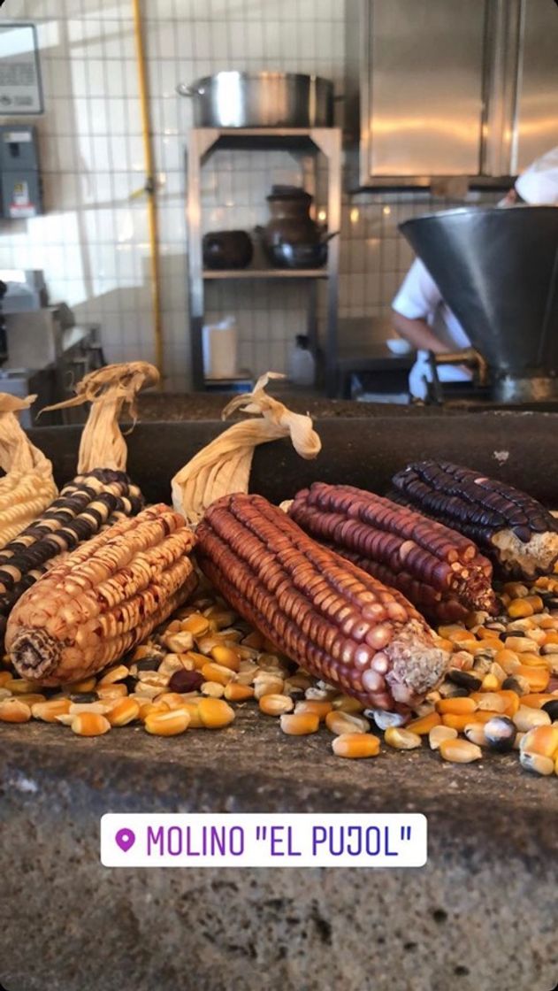 Place Molino Pujol: la tortillería gourmet