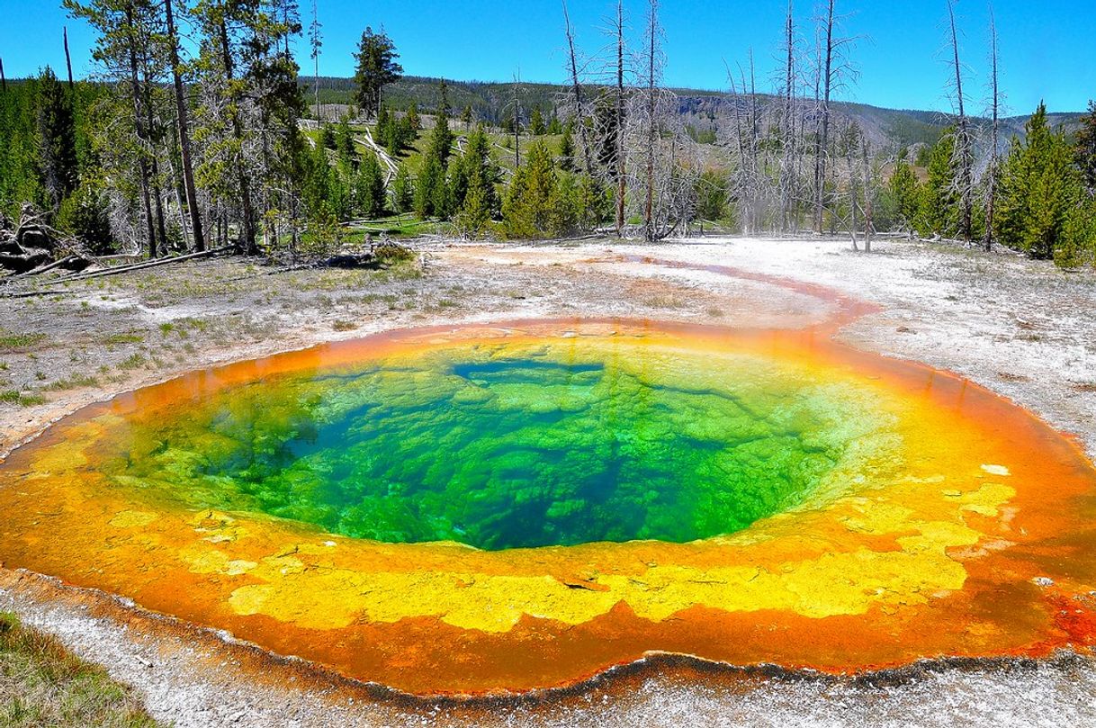 Place Yellowstone National Park